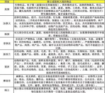機(jī)場(chǎng)出入境須知 辦好簽證就萬事大吉？警惕“小黑屋”與遣返風(fēng)險(xiǎn)